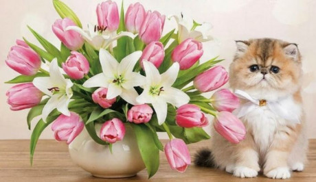 С праздником, дорогие мамы!