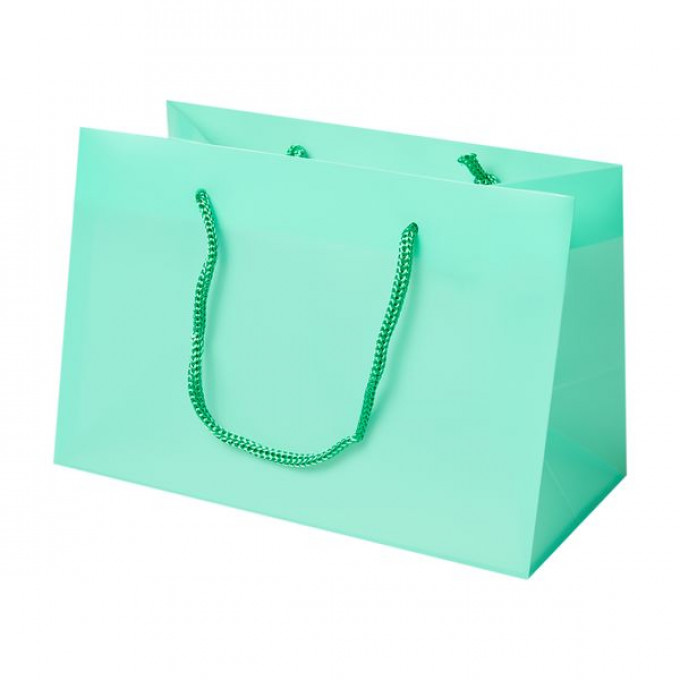 Сумка-плайм пакет БЮДЖЕТ матовый 21*11*14 см ТИФФАНИ