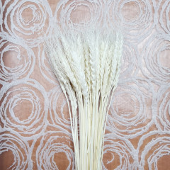 Сухоцвет Пшеница 50шт/пач БЕЛЫЙ