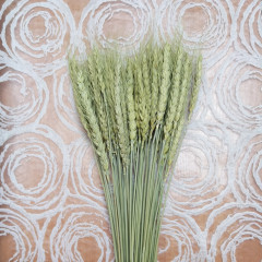 Сухоцвет Пшеница 50шт/пач НАТУРАЛЬНЫЙ