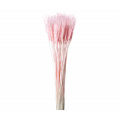 Сухоцвет Пшеница 50шт/пач РОЗОВЫЙ