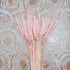 Сухоцвет Пшеница 50шт/пач РОЗОВЫЙ