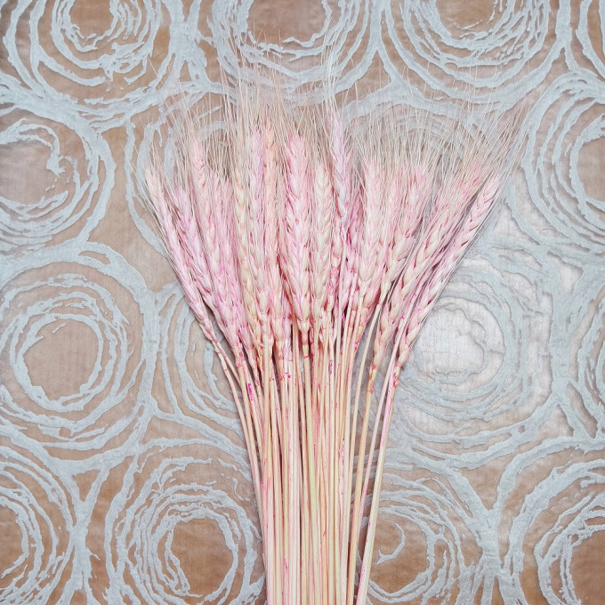 Сухоцвет Пшеница 50шт/пач РОЗОВЫЙ