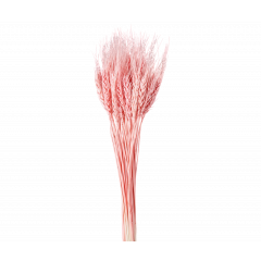 Сухоцвет Пшеница 50шт/пач СВЕТЛО-РОЗОВЫЙ