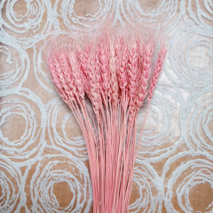 Сухоцвет Пшеница 50шт/пач СВЕТЛО-РОЗОВЫЙ