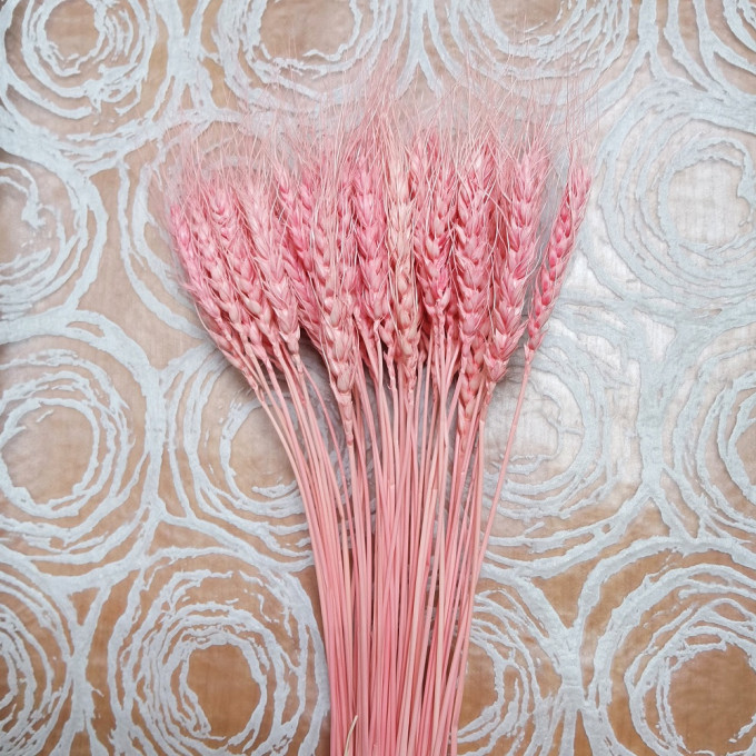 Сухоцвет Пшеница 50шт/пач СВЕТЛО-РОЗОВЫЙ