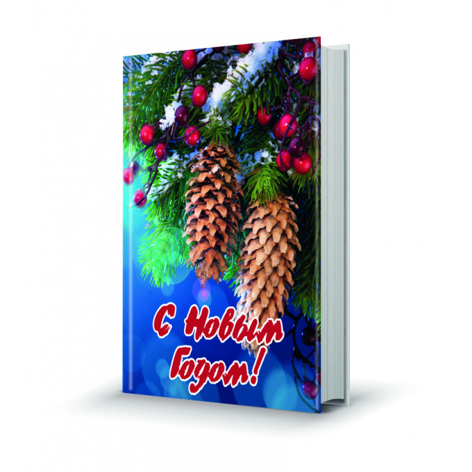 Магнит мини-книжка том  С новым годом!