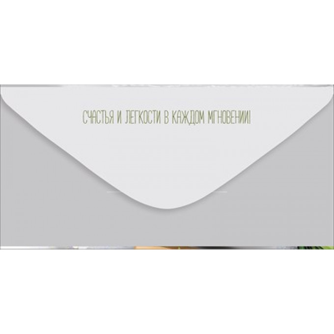 Конверт для денег "Поздравляю!"