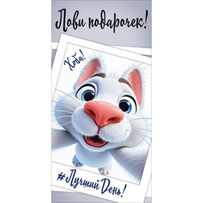 Конверт для денег "Лови подарочек!"