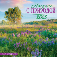 Календарь перекидной на скрепке на 2025 год Наедине с природой