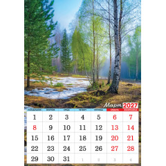 Календарь на спирали на 2027 год А3 Природа. Романтика родной природы