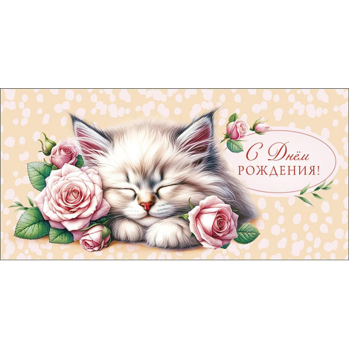 Конверт для денег С Днем Рождения!