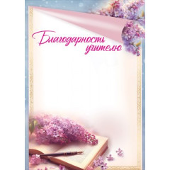 Благодарность учителю