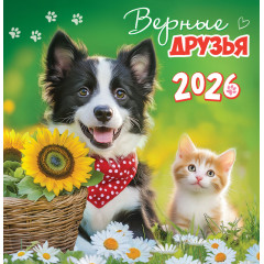 Календарь перекидной на скрепке на 2026 год Кот и пёс. Верные друзья