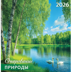 Календарь перекидной на скрепке на 2026 год Природа. Очарование природы