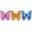 21 01 26 Украшение на скотче "Бабочка" (3в*5)   0370531