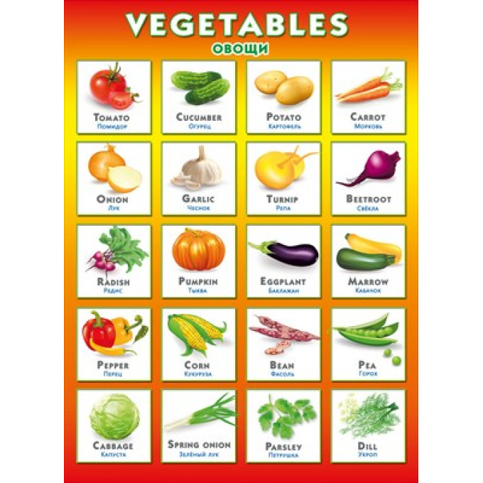 Плакат "Vegetables. Овощи"