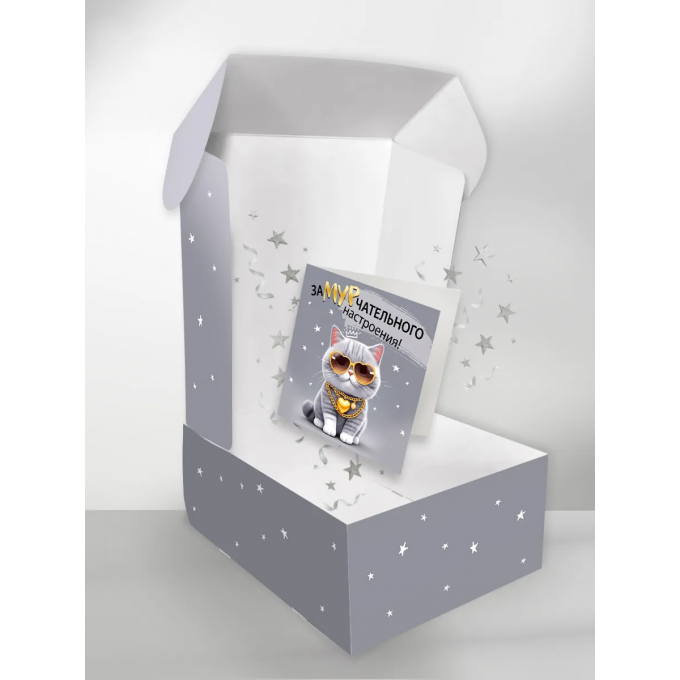 Коробка подарочная с открыткой "Дают - бери"