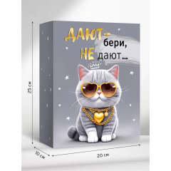 Коробка подарочная с открыткой "Дают - бери"