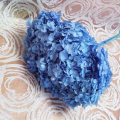 Сухоцвет Гортензия ВАСИЛЬКОВЫЙ 1 шт