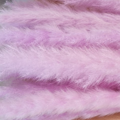 Сухоцвет Камыш 8шт/упак СВЕТЛО-ЛИЛОВЫЙ