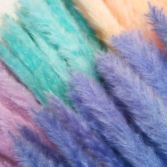 Сухоцвет Камыш 8шт/упак СВЕТЛО-СИРЕНЕВЫЙ