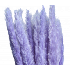 Сухоцвет Камыш 8шт/упак СВЕТЛО-СИРЕНЕВЫЙ