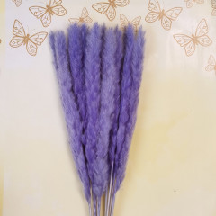 Сухоцвет Камыш 8шт/упак СВЕТЛО-СИРЕНЕВЫЙ