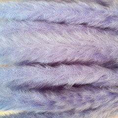 Сухоцвет Камыш 8шт/упак СВЕТЛО-СИРЕНЕВЫЙ