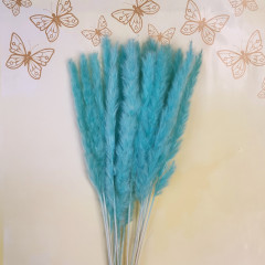 Сухоцвет Камыш 8шт/упак ТИФФАНИ