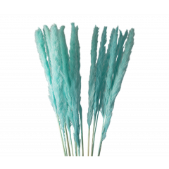 Сухоцвет Камыш 8шт/упак ТИФФАНИ