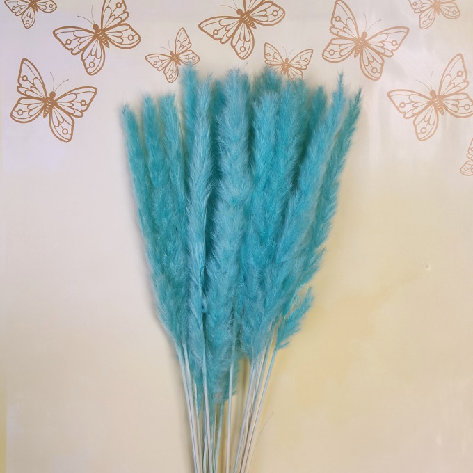 Сухоцвет Камыш 8шт/упак ТИФФАНИ