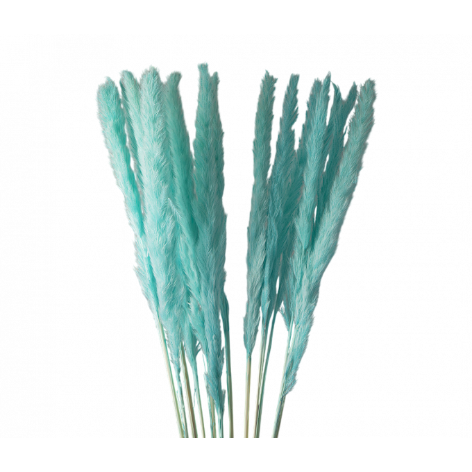 Сухоцвет Камыш 8шт/упак ТИФФАНИ
