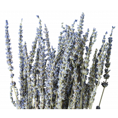 Сухоцвет Лаванда НАТУРАЛЬНЫЙ 100 гр