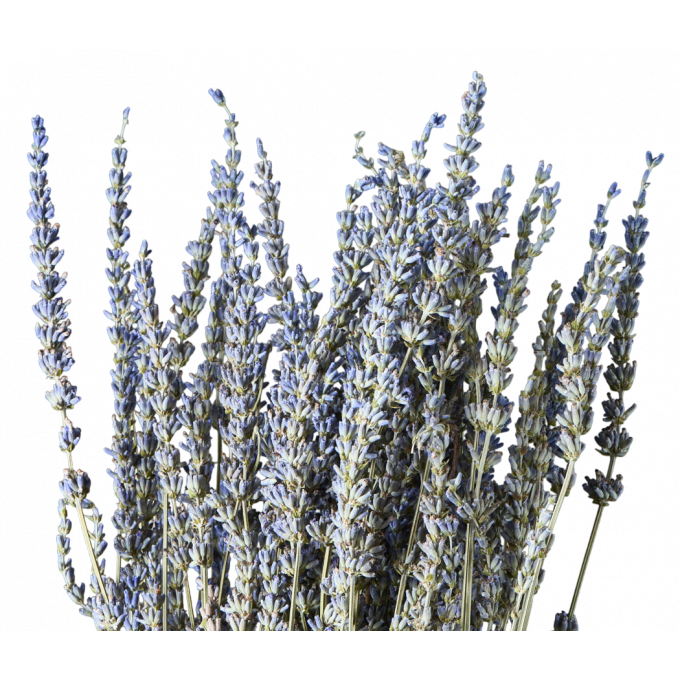 Сухоцвет Лаванда НАТУРАЛЬНЫЙ 100 гр