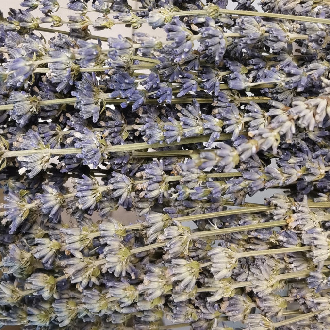 Сухоцвет Лаванда НАТУРАЛЬНЫЙ 100 гр