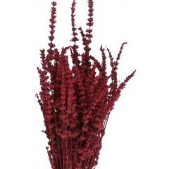 Сухоцвет Лаванда БОРДОВЫЙ 70 гр