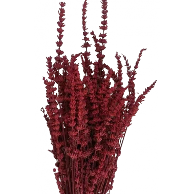 Сухоцвет Лаванда БОРДОВЫЙ 70 гр