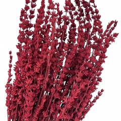 Сухоцвет Лаванда БОРДОВЫЙ 70 гр