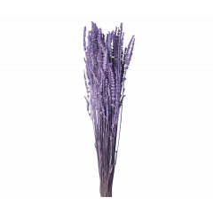 Сухоцвет Лаванда ЛАВАНДОВЫЙ 70 гр