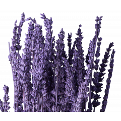 Сухоцвет Лаванда ЛАВАНДОВЫЙ 70 гр