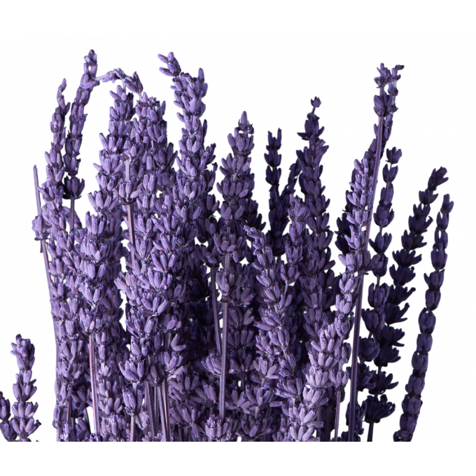 Сухоцвет Лаванда ЛАВАНДОВЫЙ 70 гр
