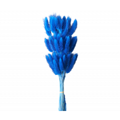 Сухоцвет Лагурус 60шт/пач КОРОЛЕВСКИЙ СИНИЙ