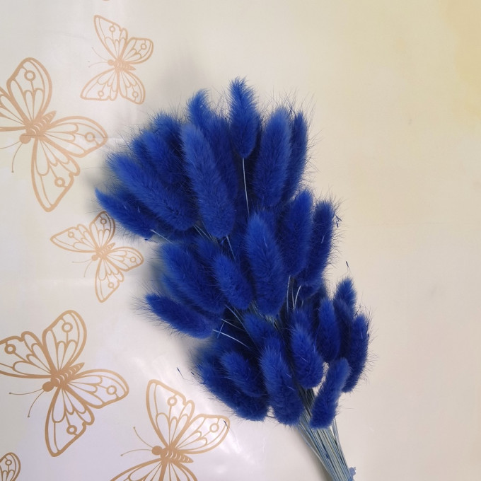 Сухоцвет Лагурус 60шт/пач КОРОЛЕВСКИЙ СИНИЙ