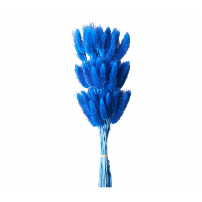 Сухоцвет Лагурус 60шт/пач КОРОЛЕВСКИЙ СИНИЙ