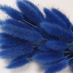 Сухоцвет Лагурус 60шт/пач КОРОЛЕВСКИЙ СИНИЙ