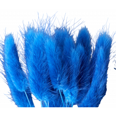 Сухоцвет Лагурус 60шт/пач КОРОЛЕВСКИЙ СИНИЙ