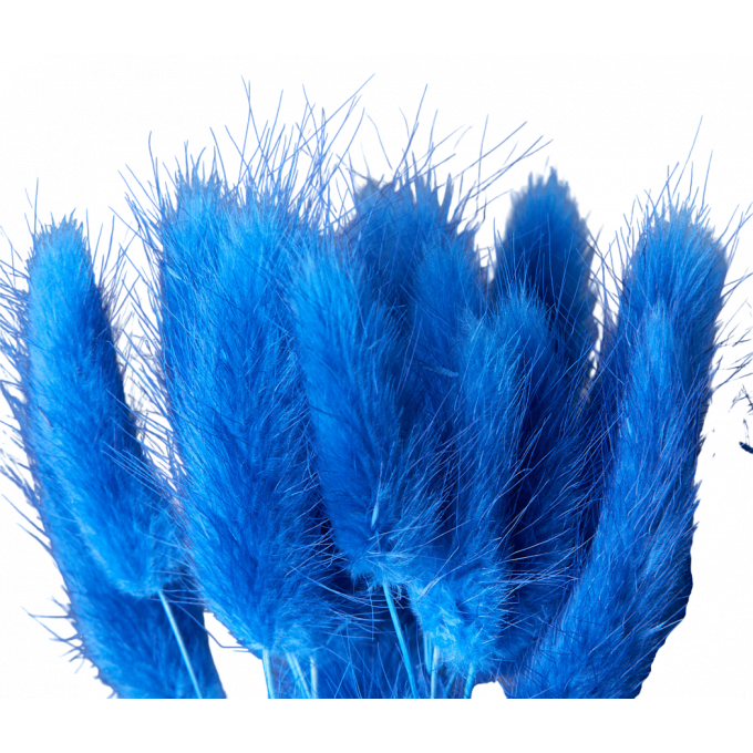 Сухоцвет Лагурус 60шт/пач КОРОЛЕВСКИЙ СИНИЙ