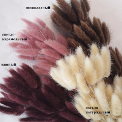 Сухоцвет Лагурус 60шт/пач СВЕТЛО-НАТУРАЛЬНЫЙ