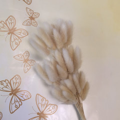 Сухоцвет Лагурус 60шт/пач СВЕТЛО-НАТУРАЛЬНЫЙ